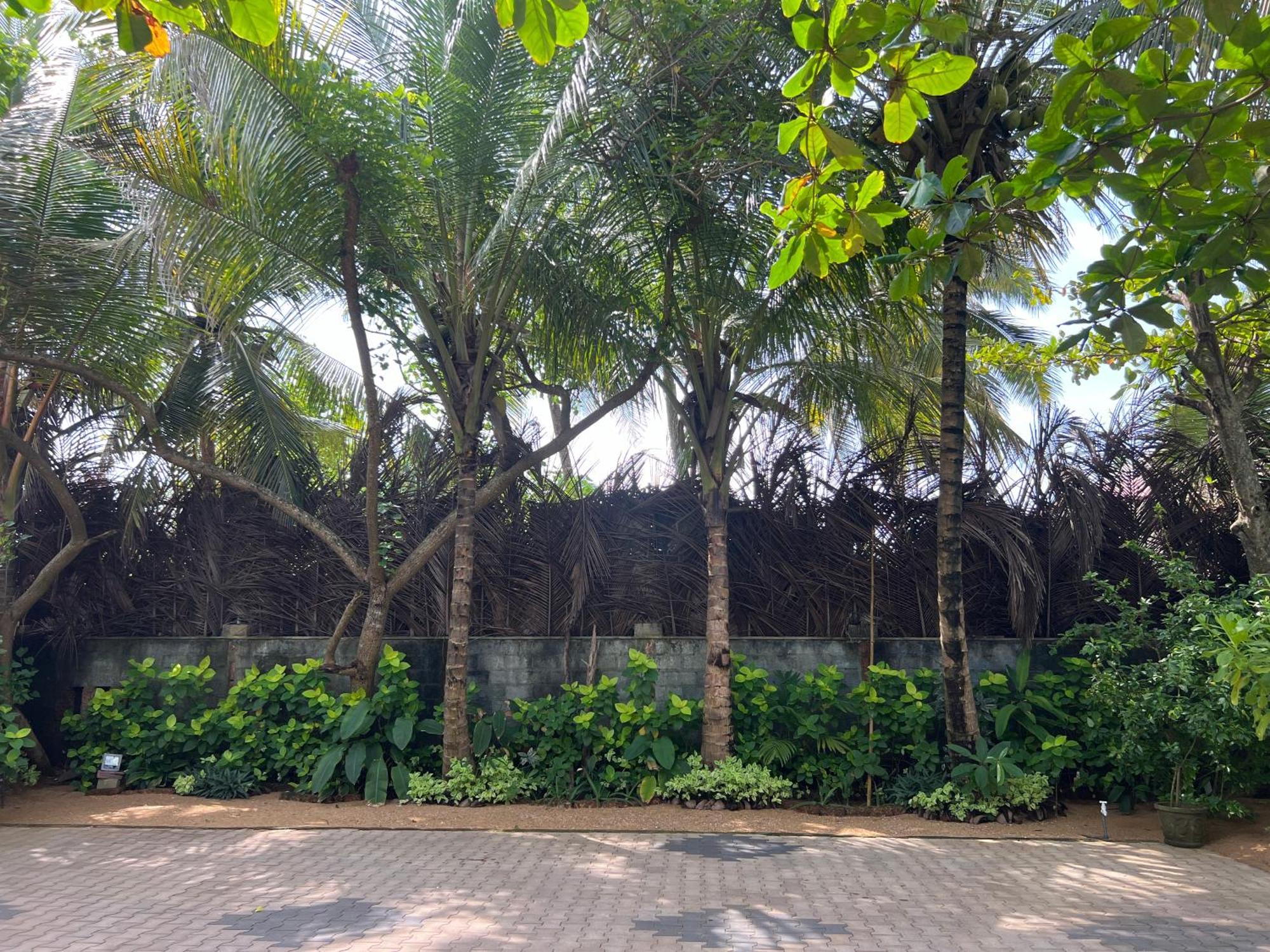 Lohas Beach Resort Villa Kalutara Exteriör bild