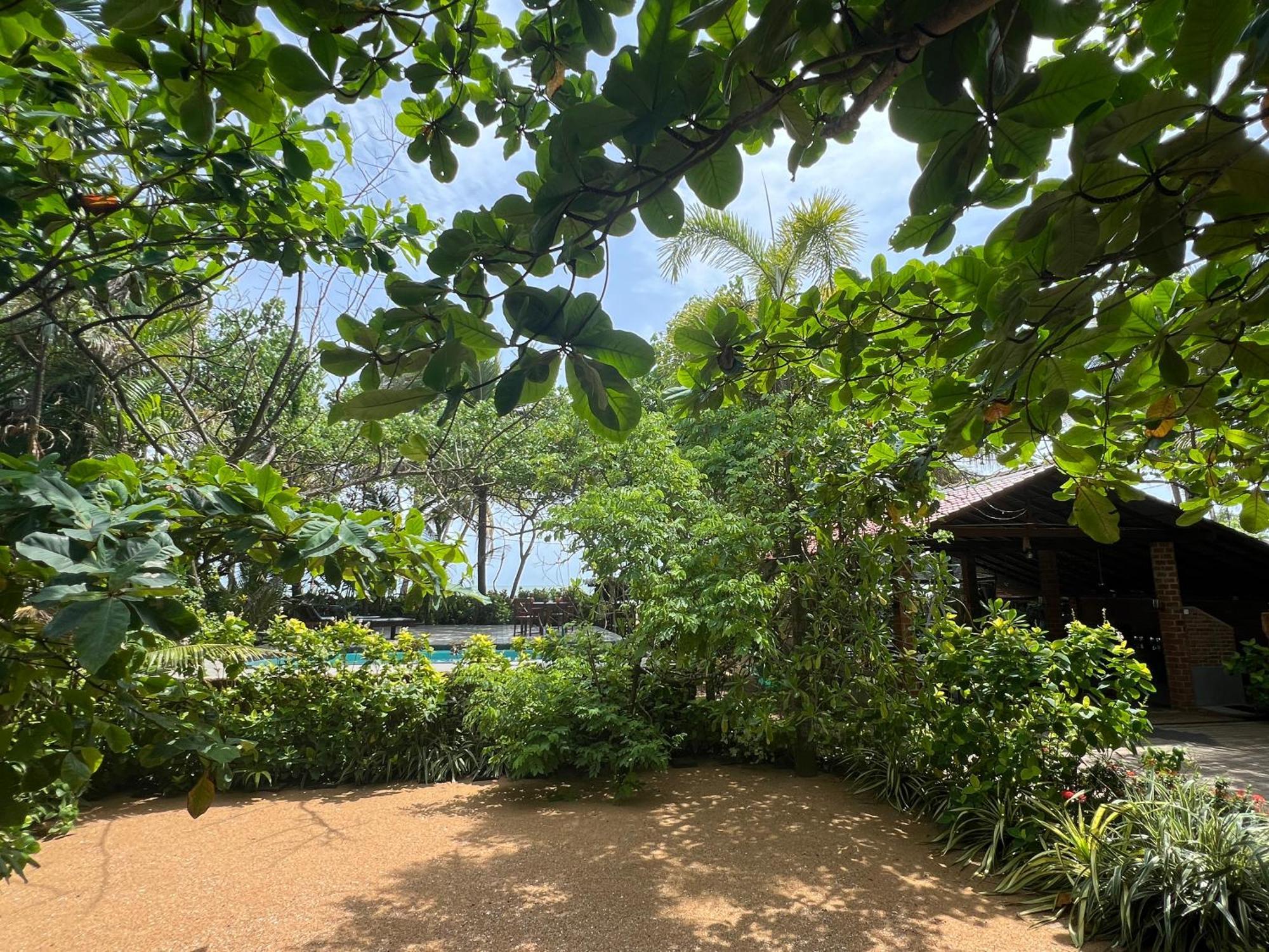 Lohas Beach Resort Villa Kalutara Exteriör bild