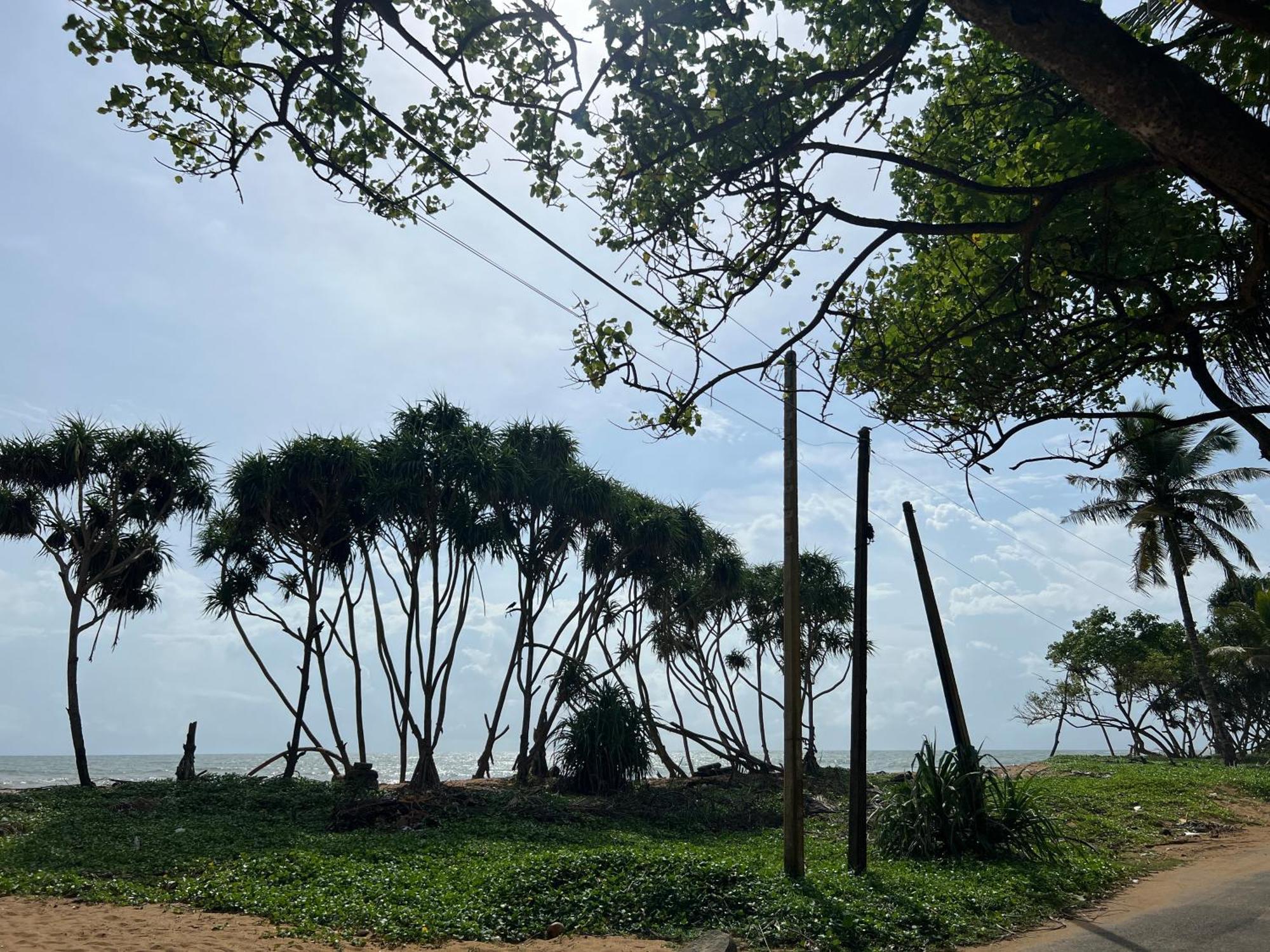 Lohas Beach Resort Villa Kalutara Exteriör bild