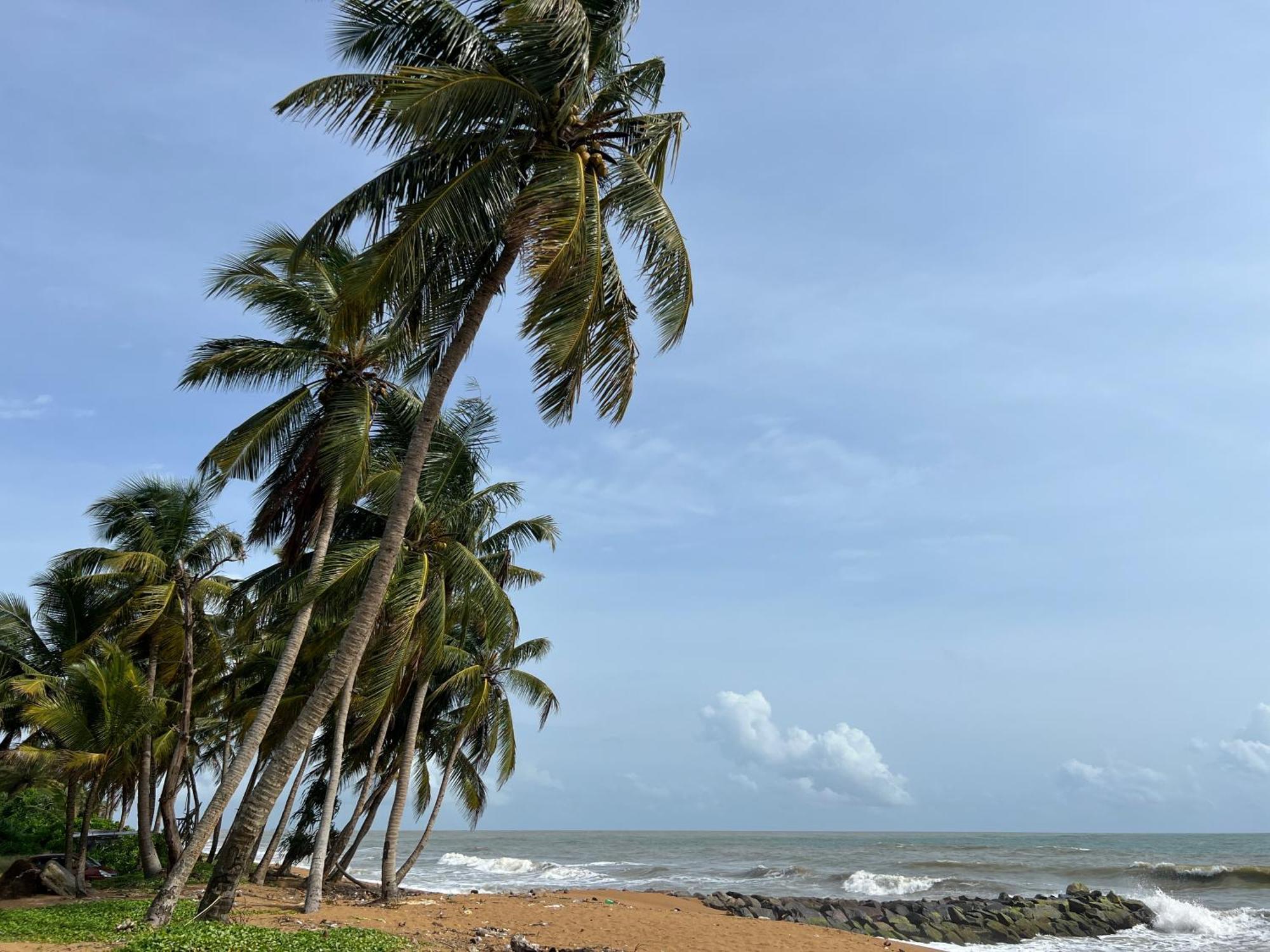 Lohas Beach Resort Villa Kalutara Exteriör bild